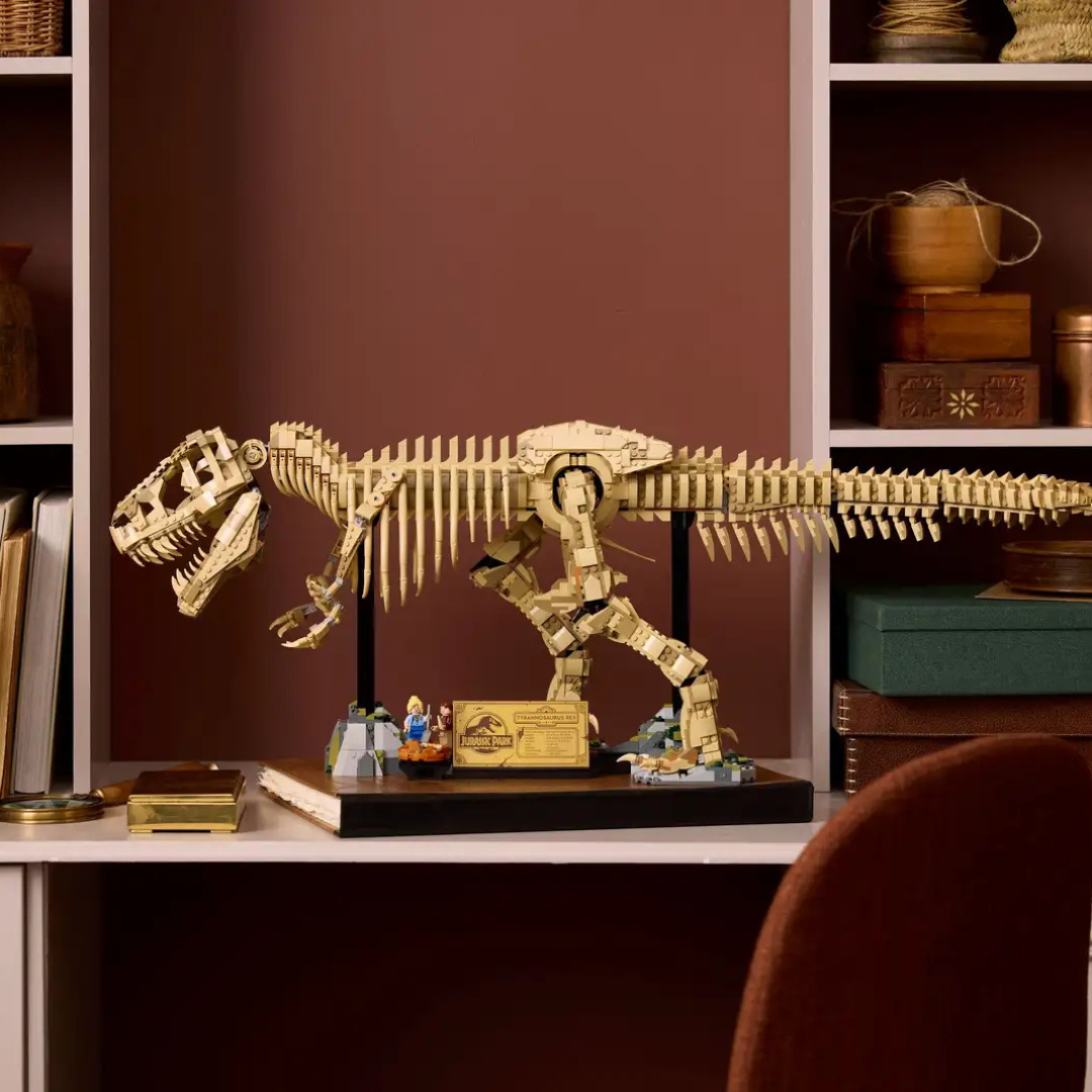 Szkielety dinozaurów: tyranozaur