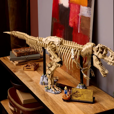 Szkielety dinozaurów: tyranozaur